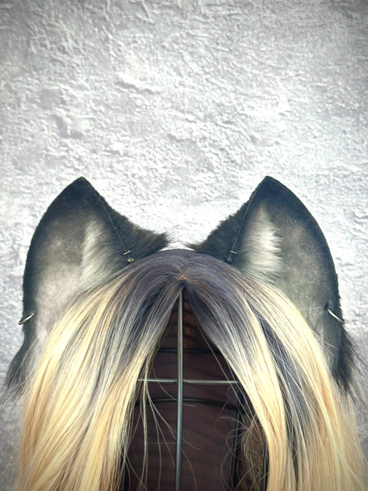 Black Kitten Ears RFS