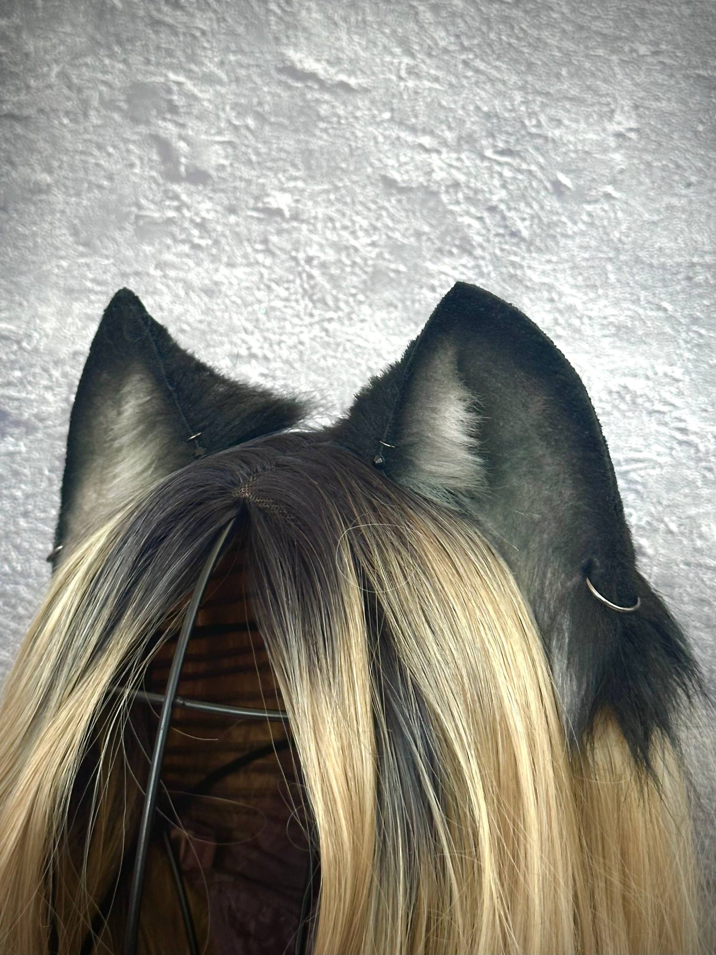 Black Kitten Ears RFS