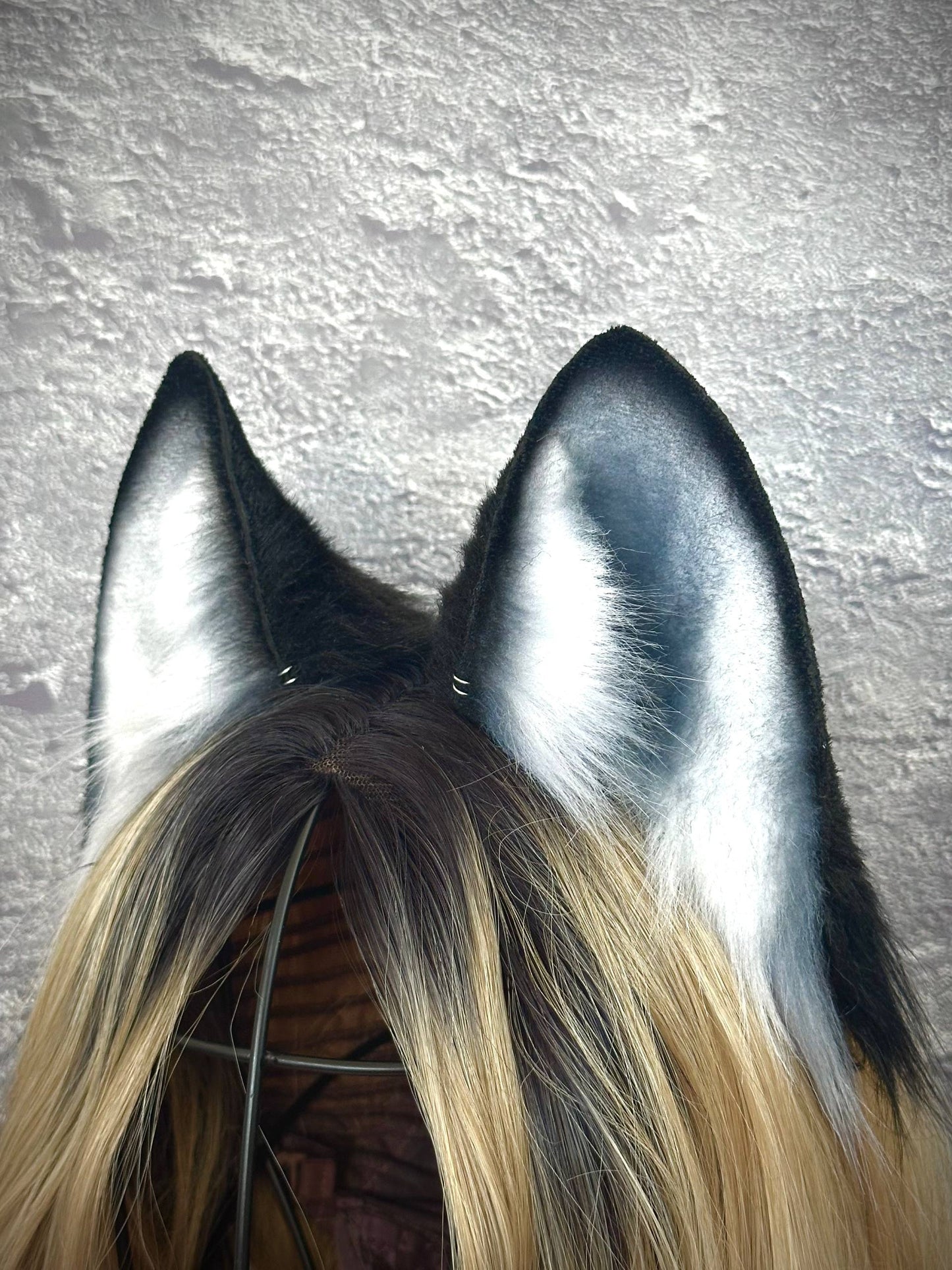 Husky Ears RFS