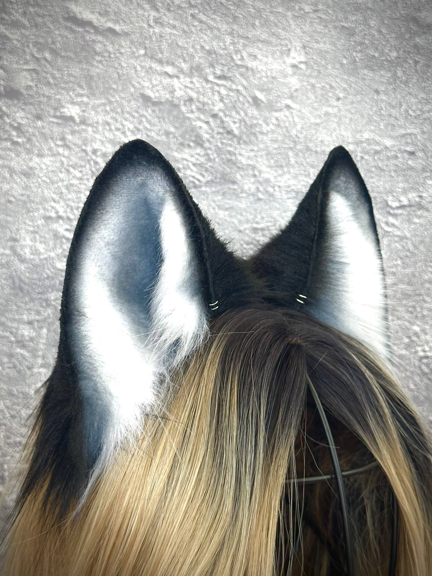 Husky Ears RFS