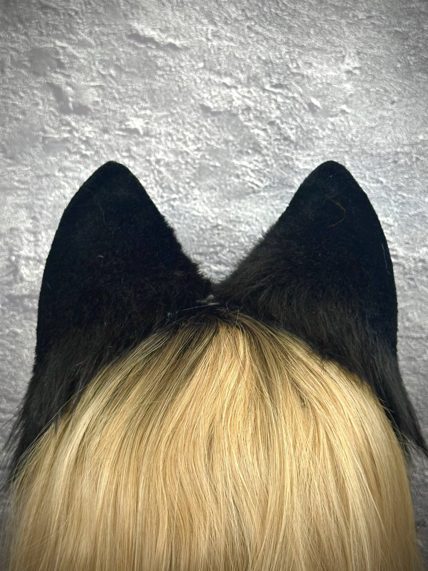 Husky Ears RFS