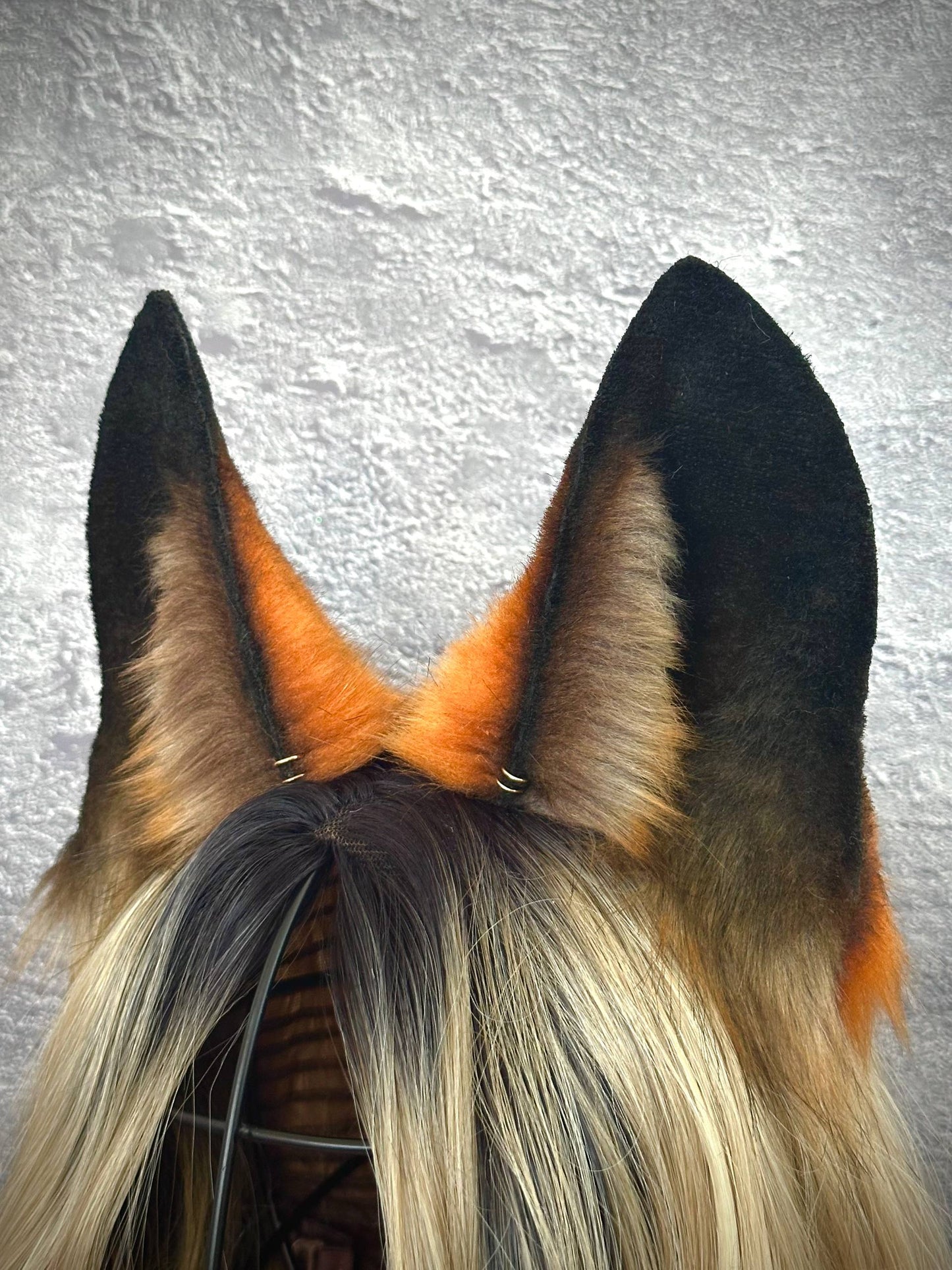 Red Fox Ears RFS