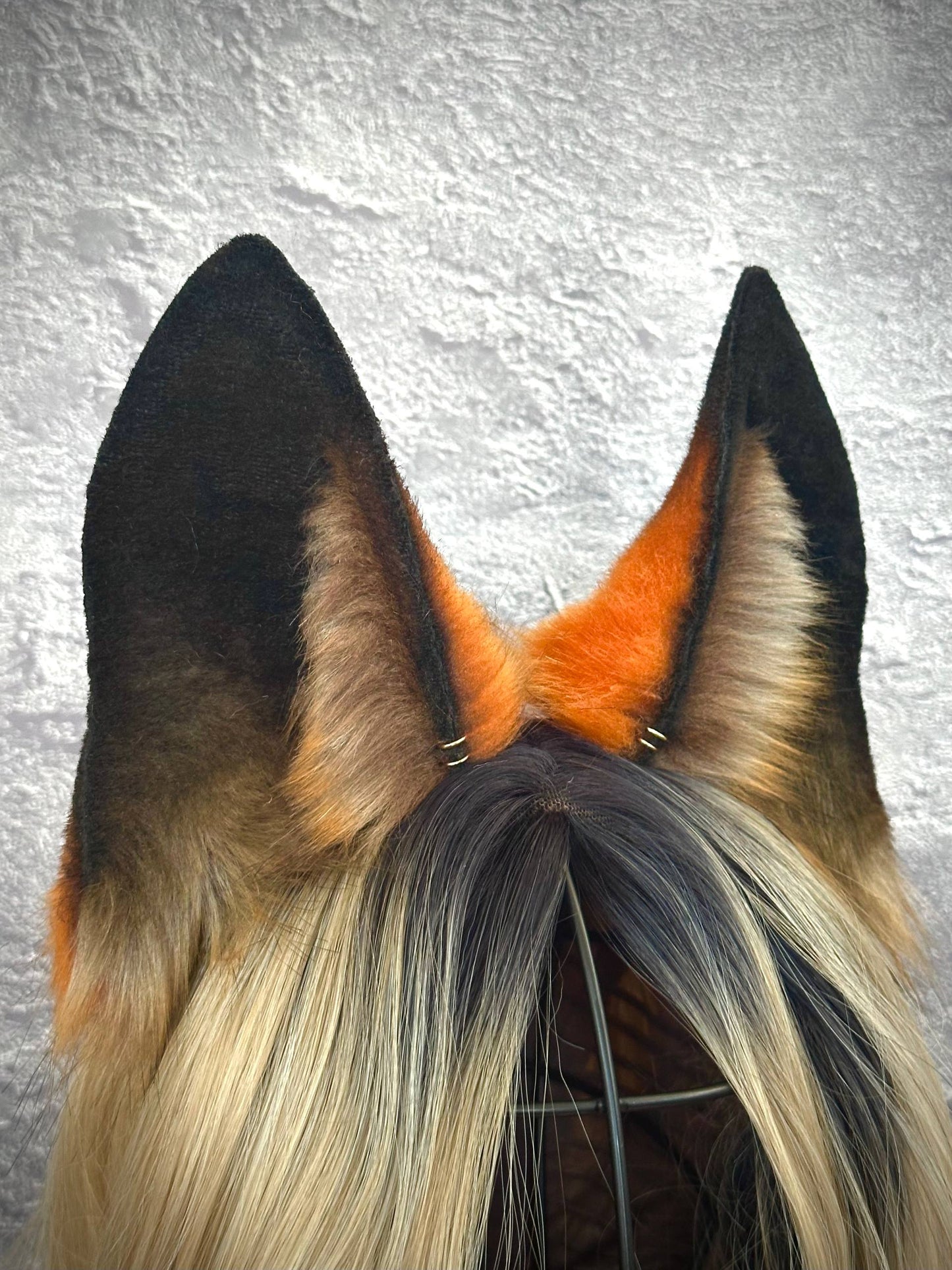 Red Fox Ears RFS