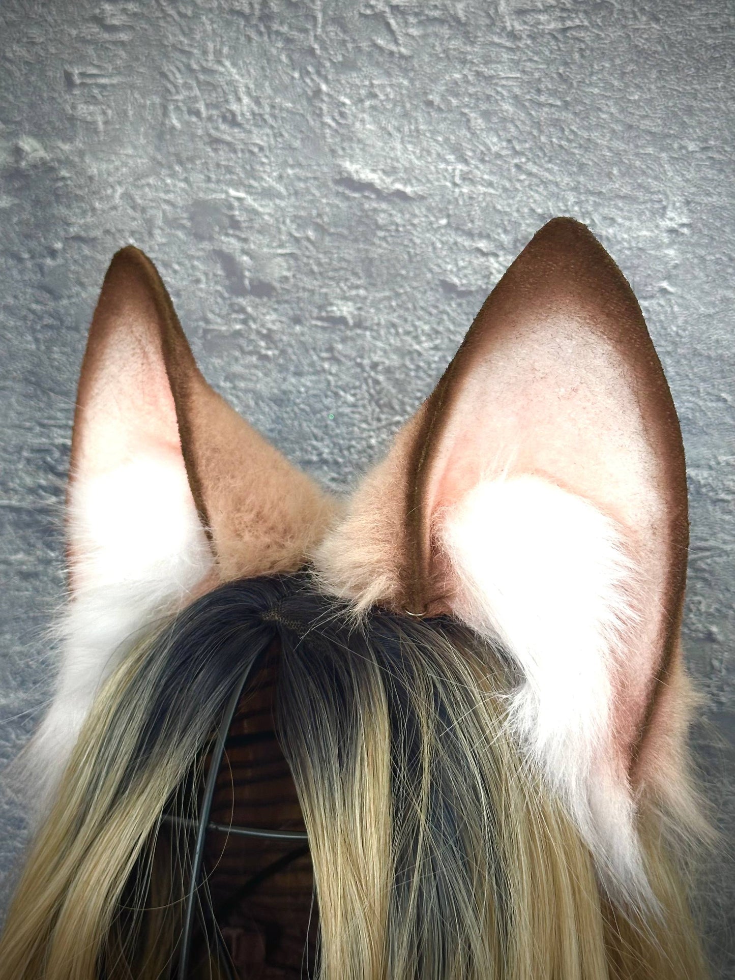 Beige Fox Ears RFS