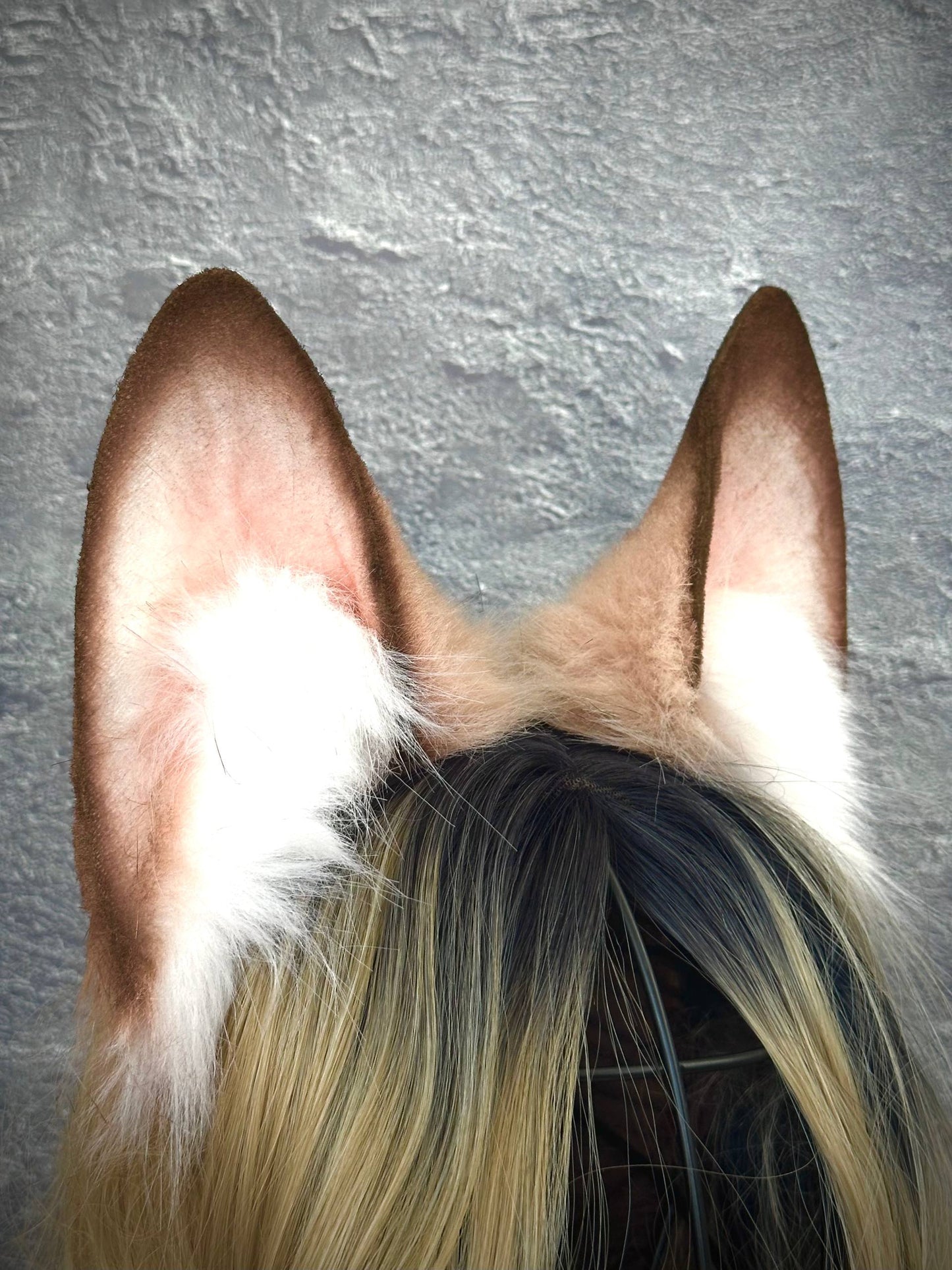 Beige Fox Ears RFS