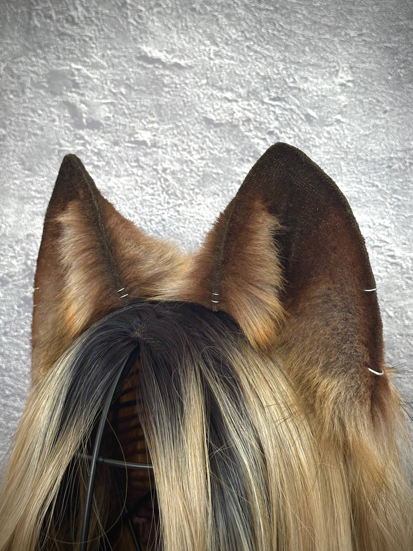 Brown Fox Ears RFS