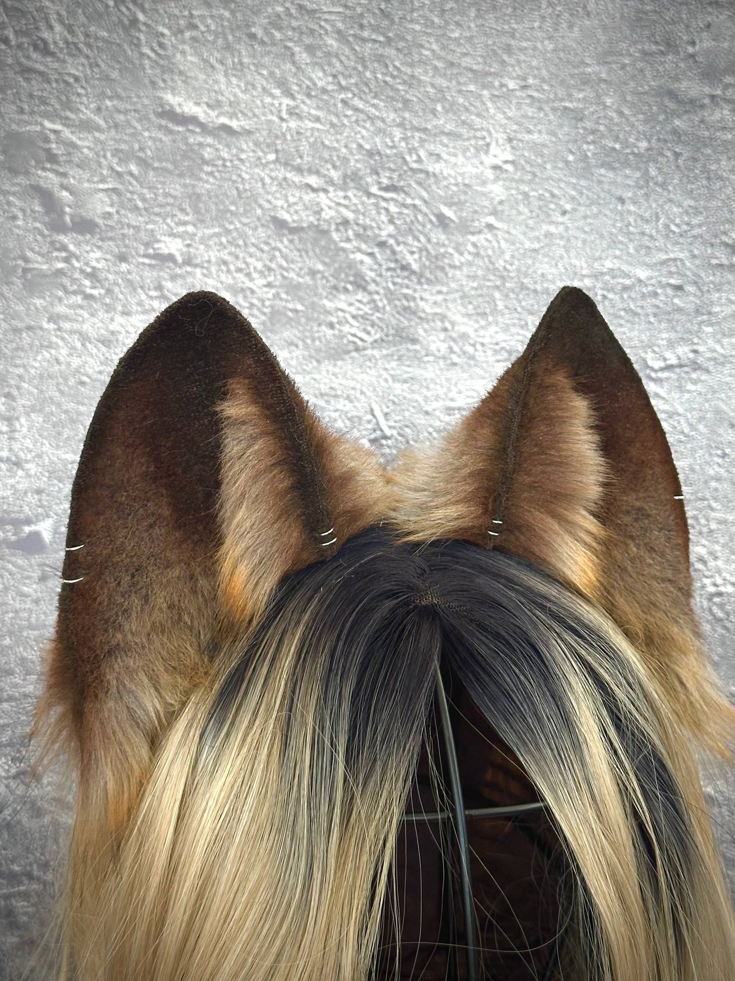Brown Fox Ears RFS