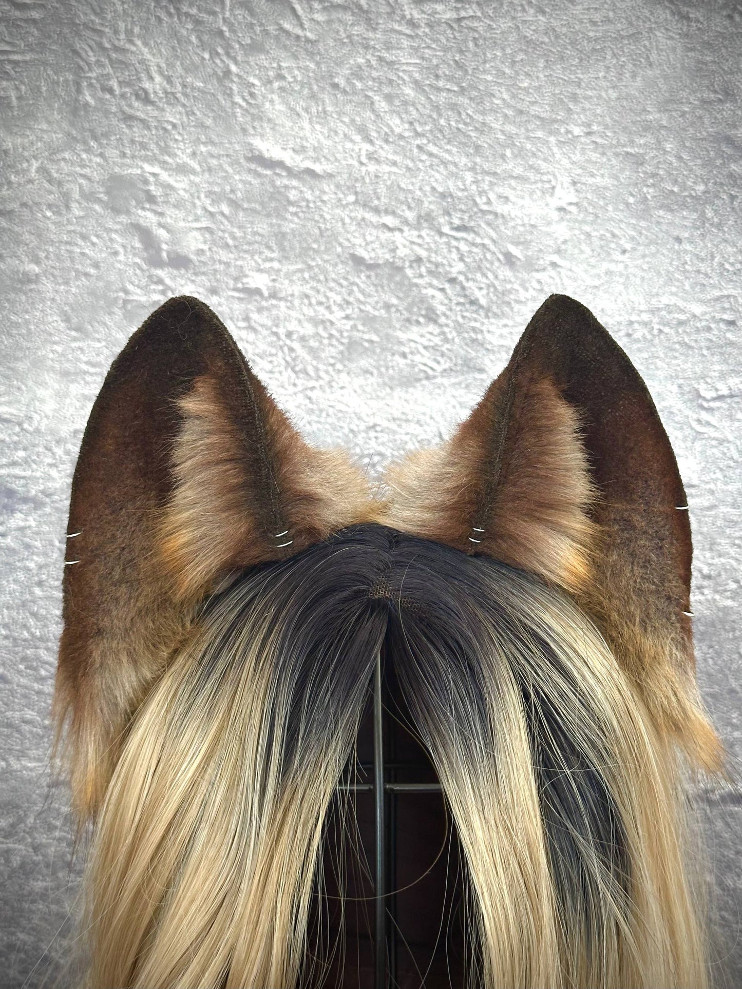 Brown Fox Ears RFS