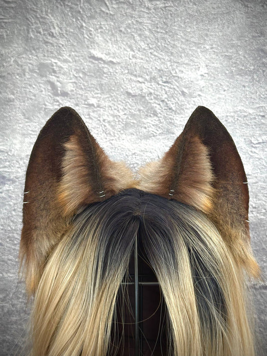 Brown Fox Ears RFS