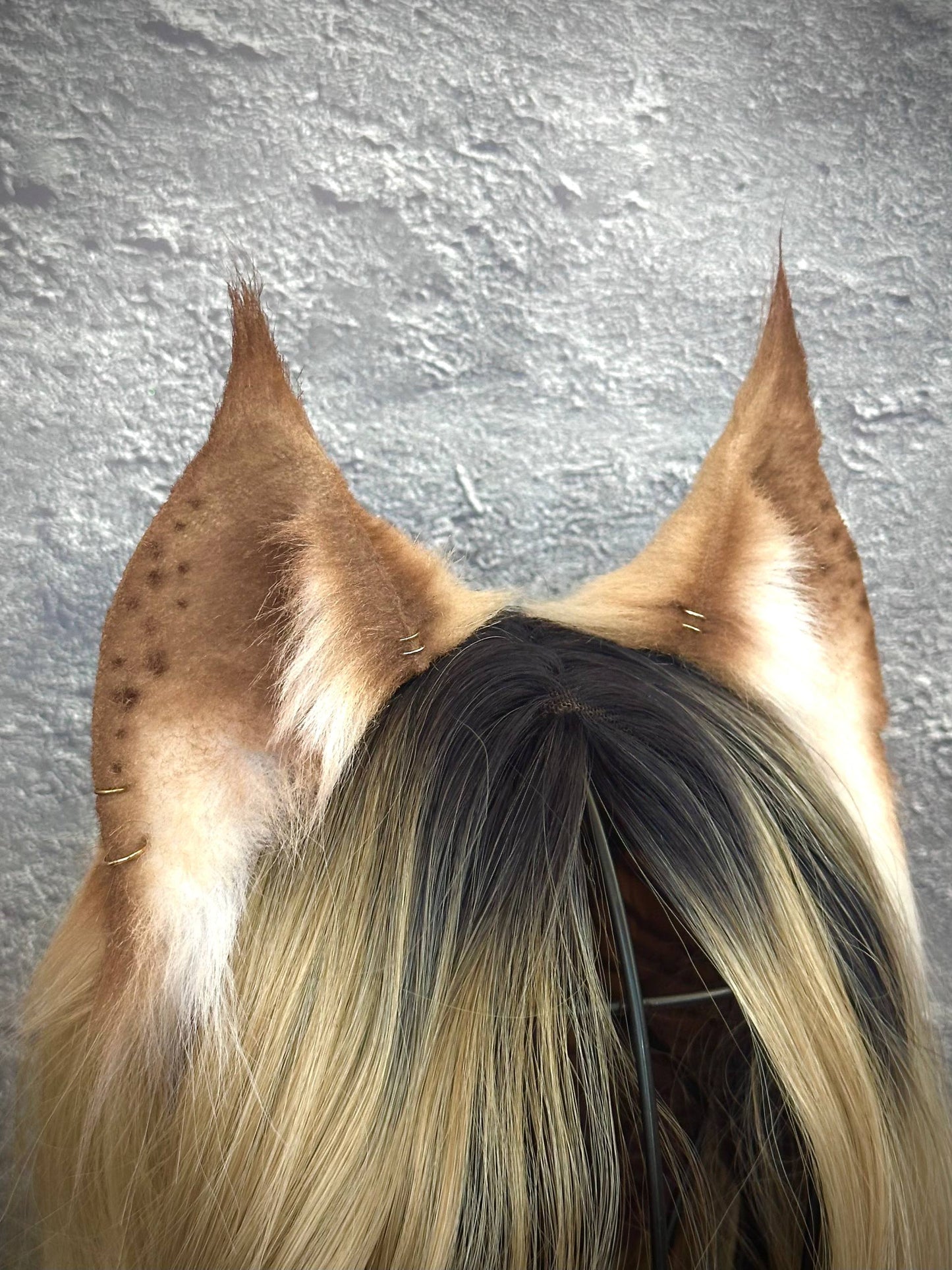 Brown Lynx Ears RFS