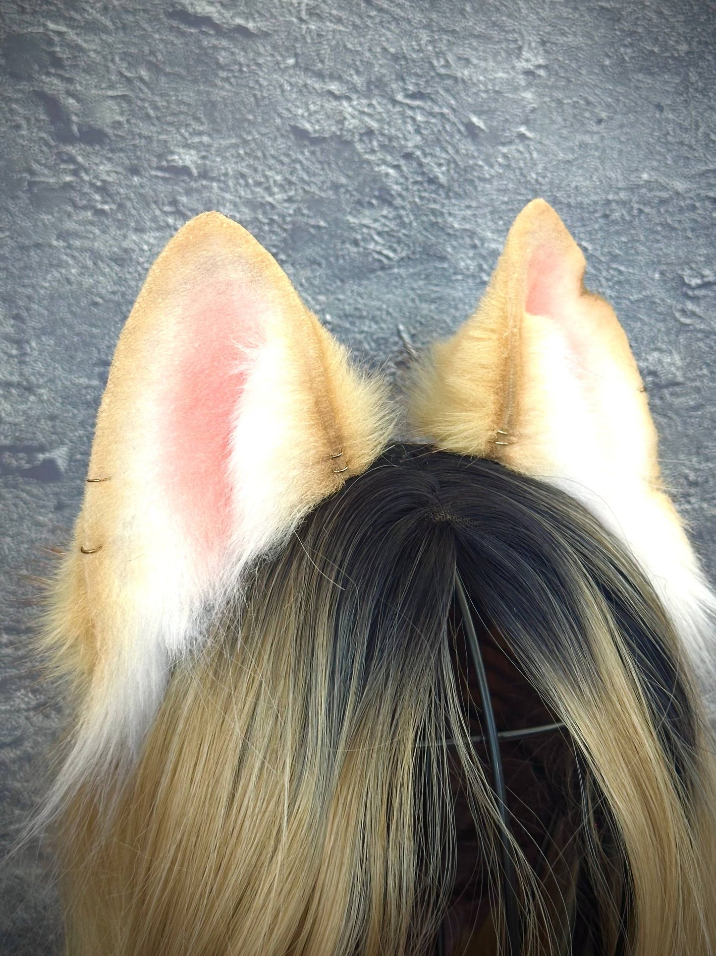 Blonde Fox Ears RFS