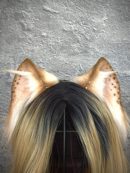 Brown Kitten Ears RFS