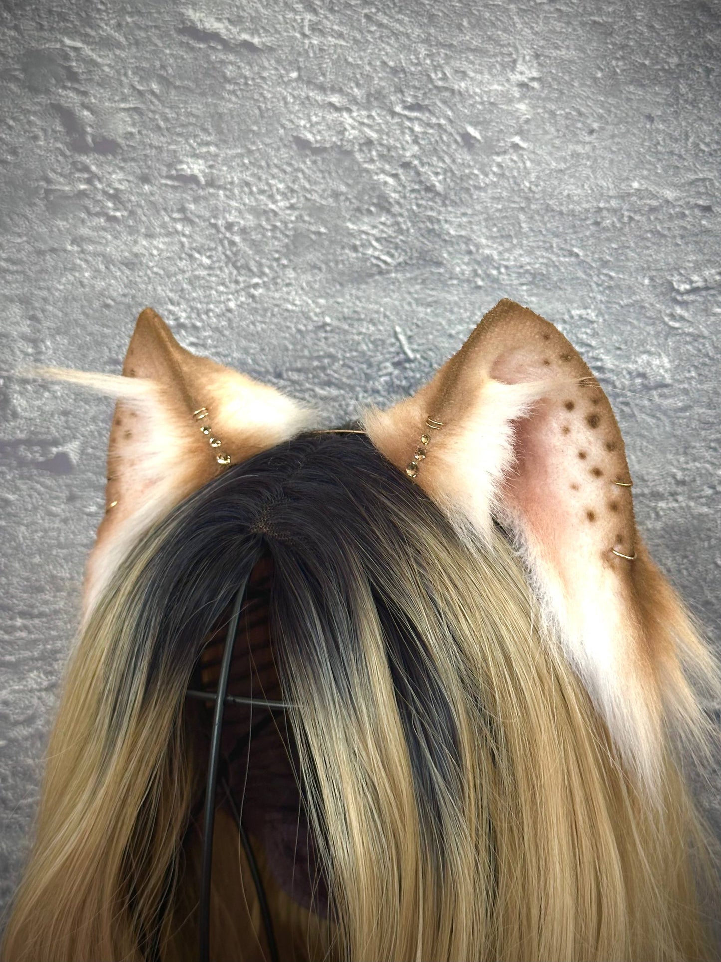 Brown Kitten Ears RFS