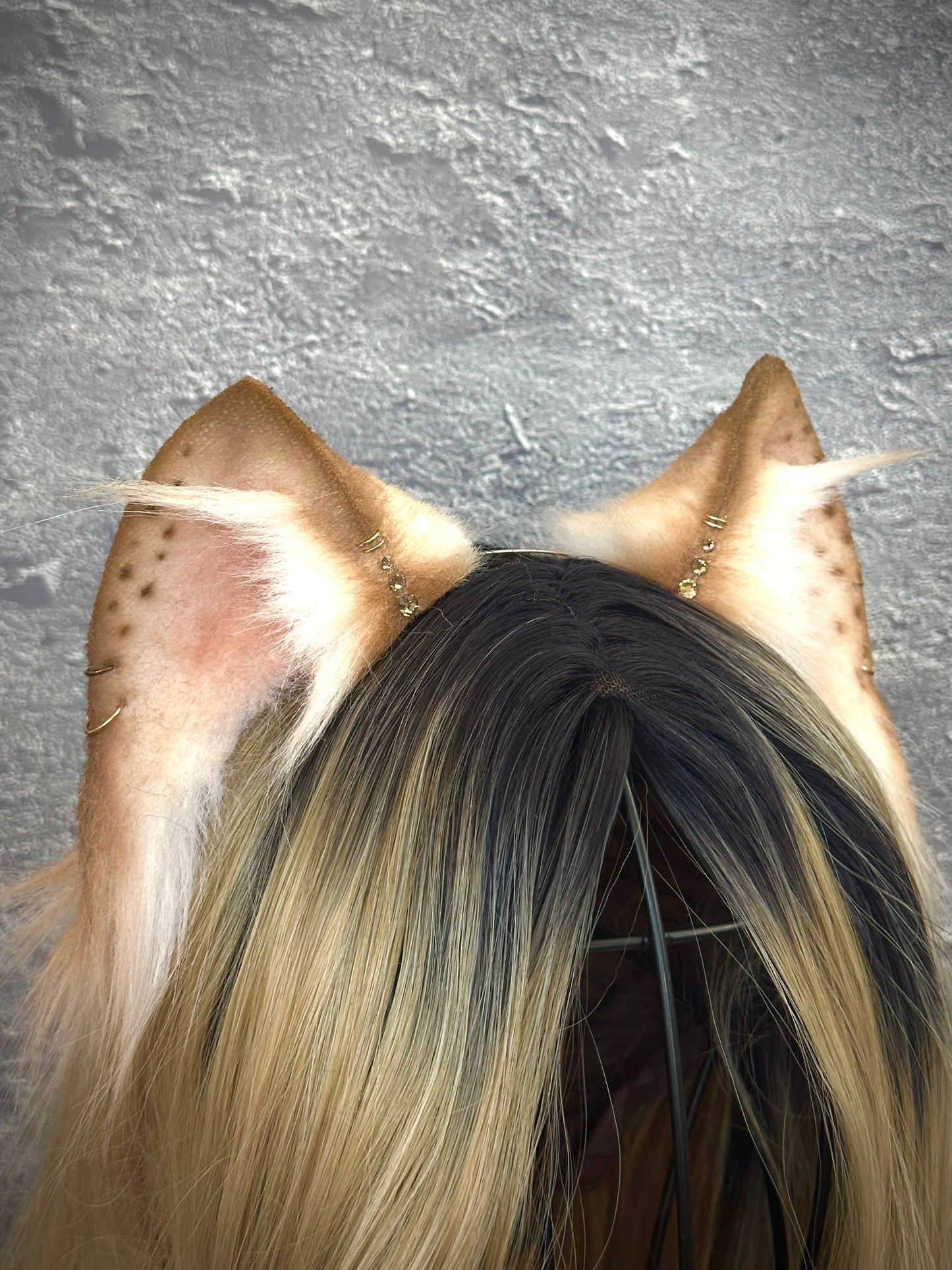 Brown Kitten Ears RFS