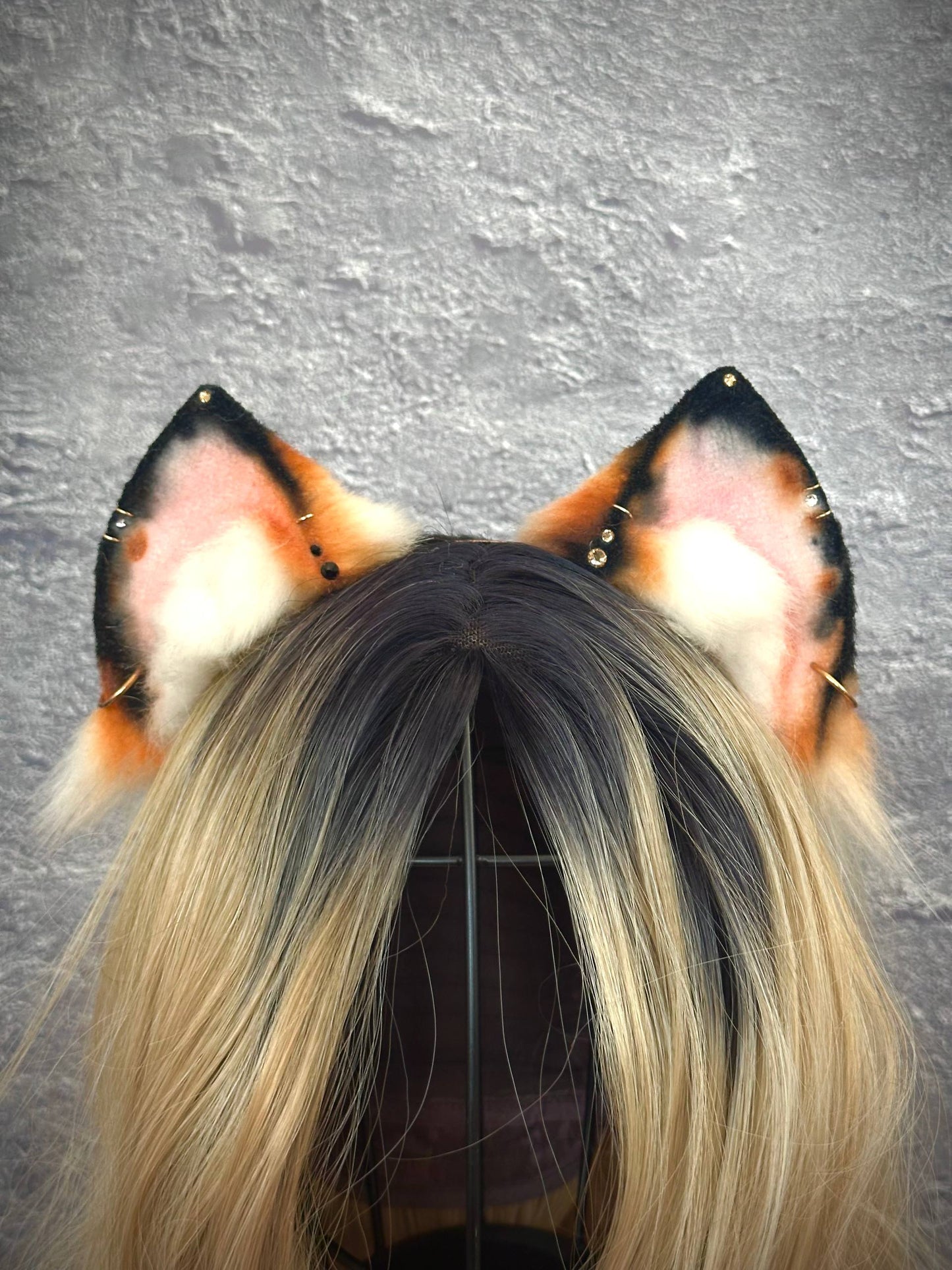 Calico Kitten Ears RFS