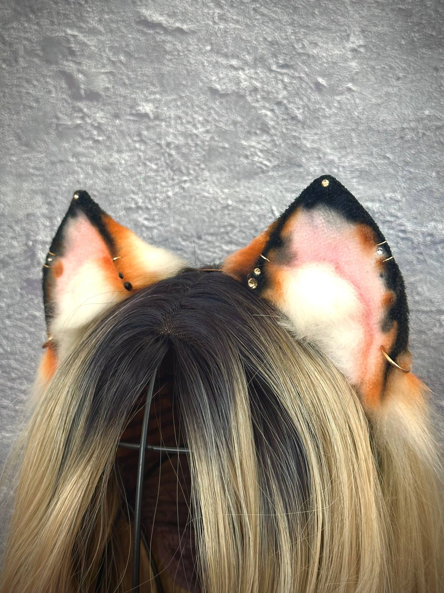 Calico Kitten Ears RFS