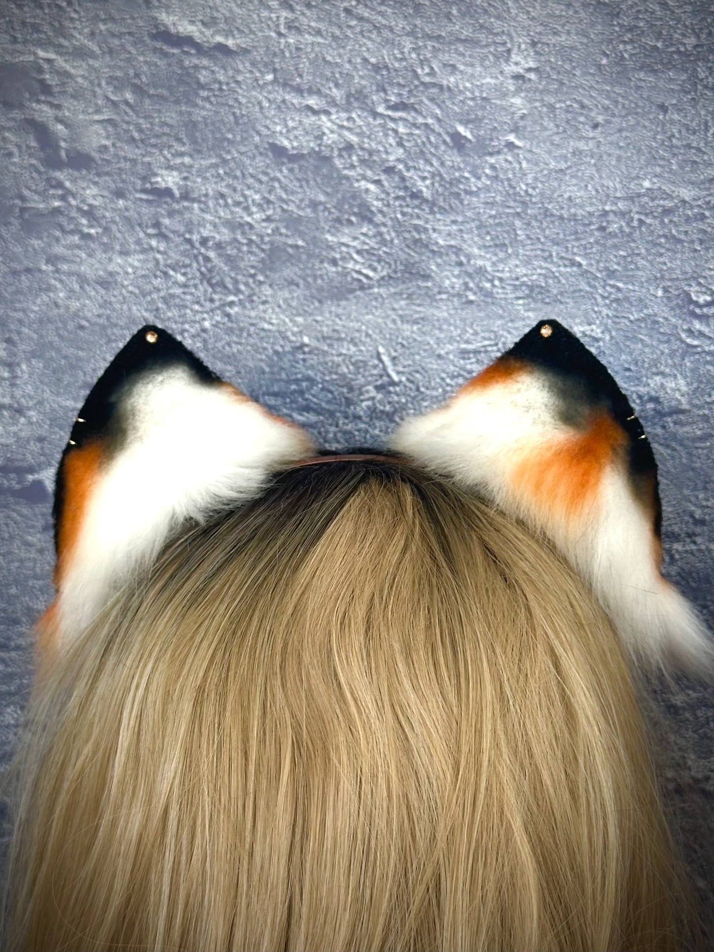 Calico Kitten Ears RFS