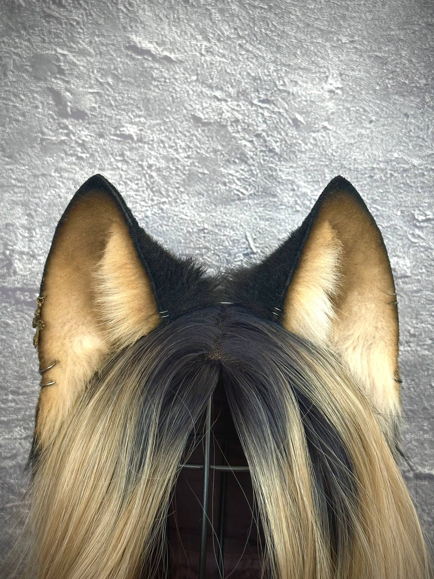 Husky Ears RFS
