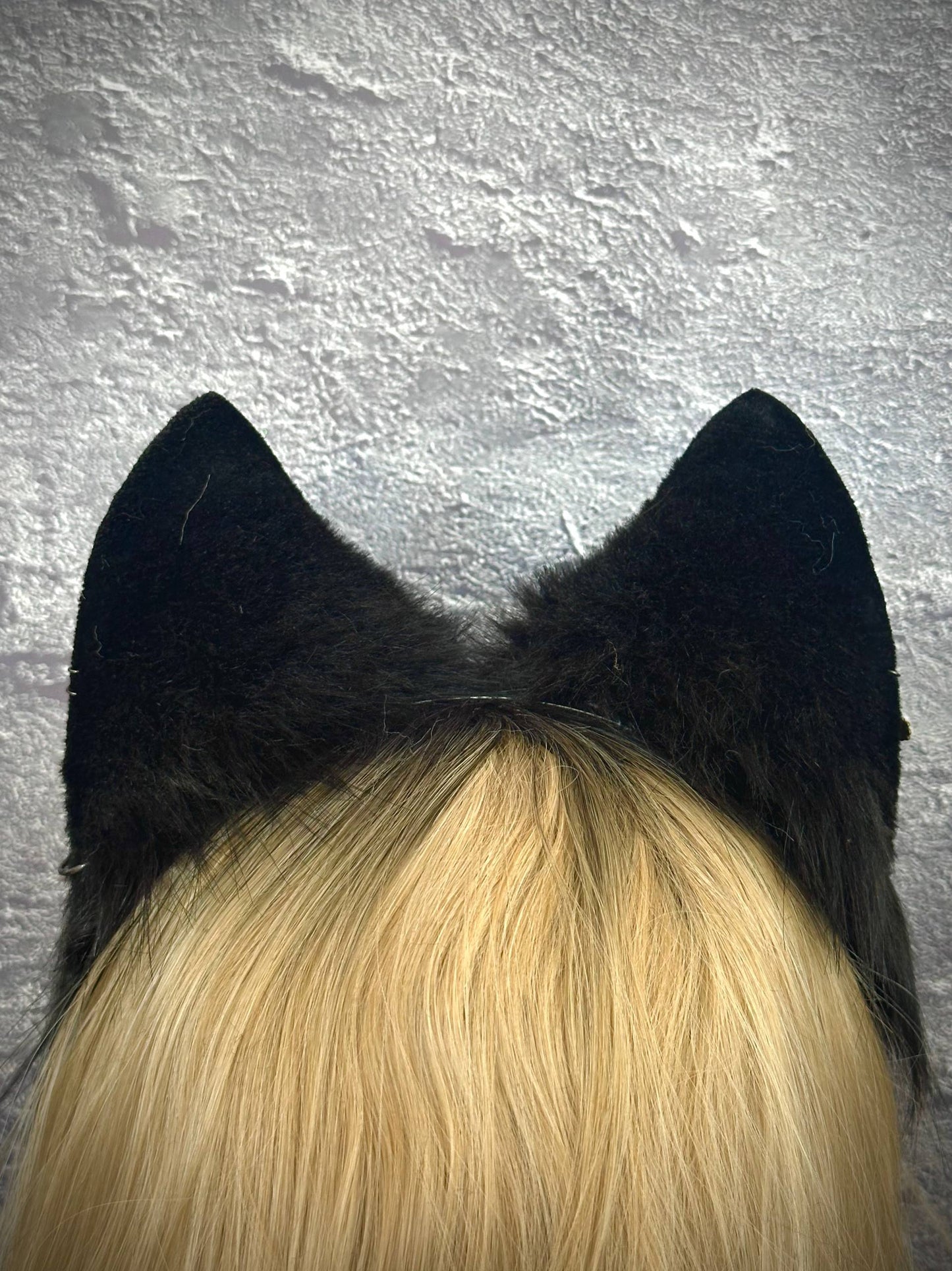 Husky Ears RFS