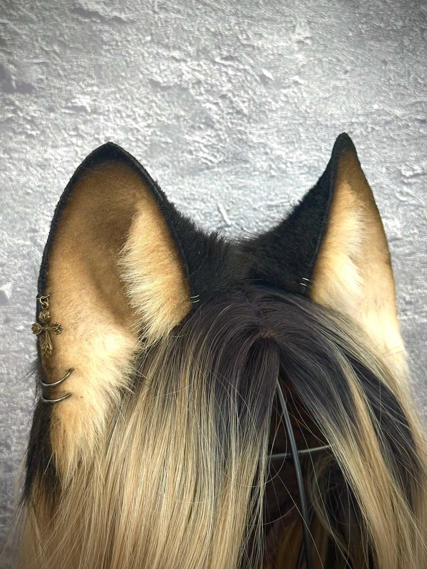 Husky Ears RFS