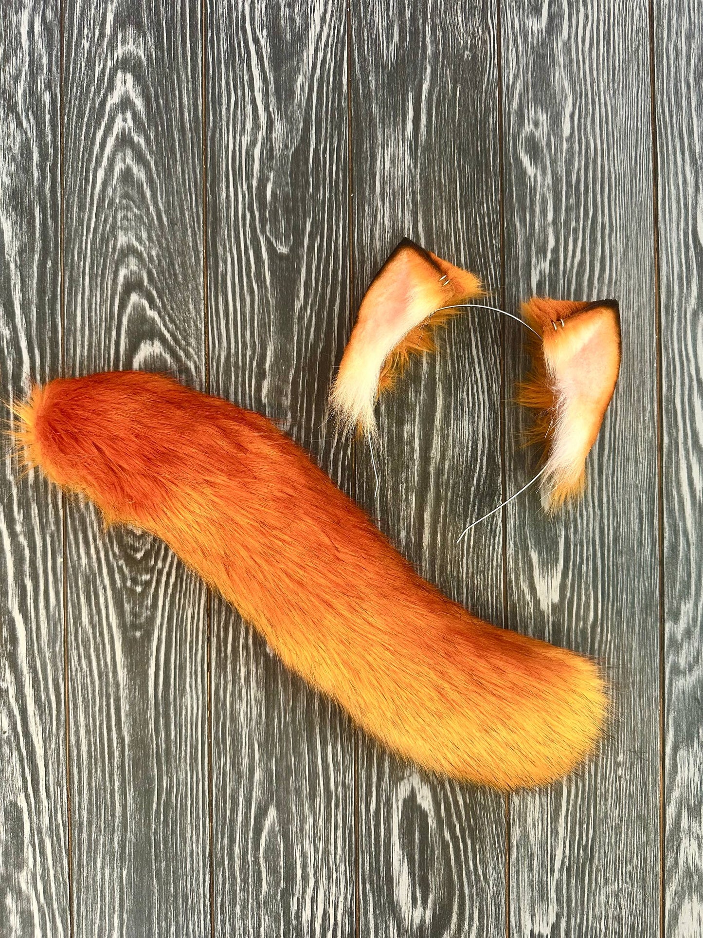 Ginger Kitten Tail RFS