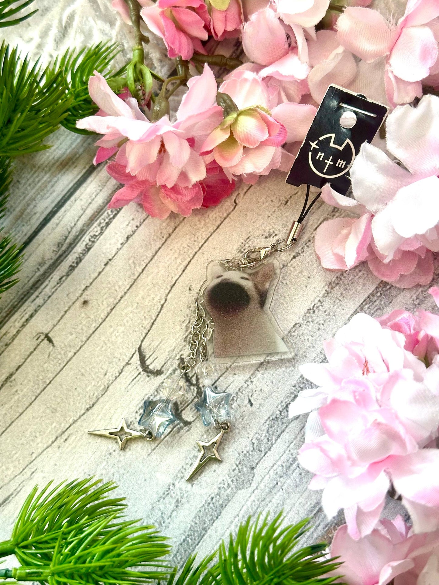 Cat (screams) Keyring RFS
