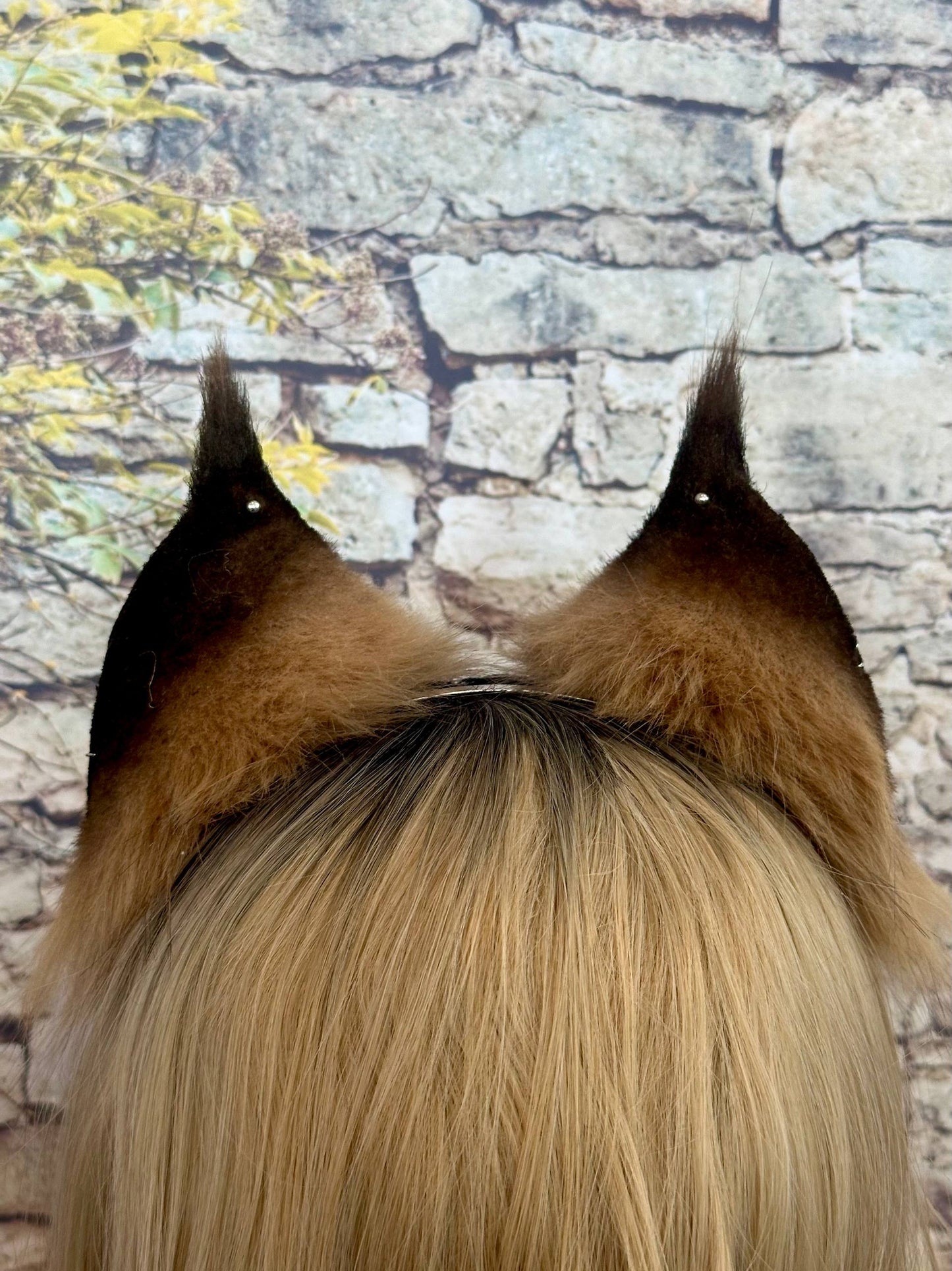 Caramel Lynx Ears