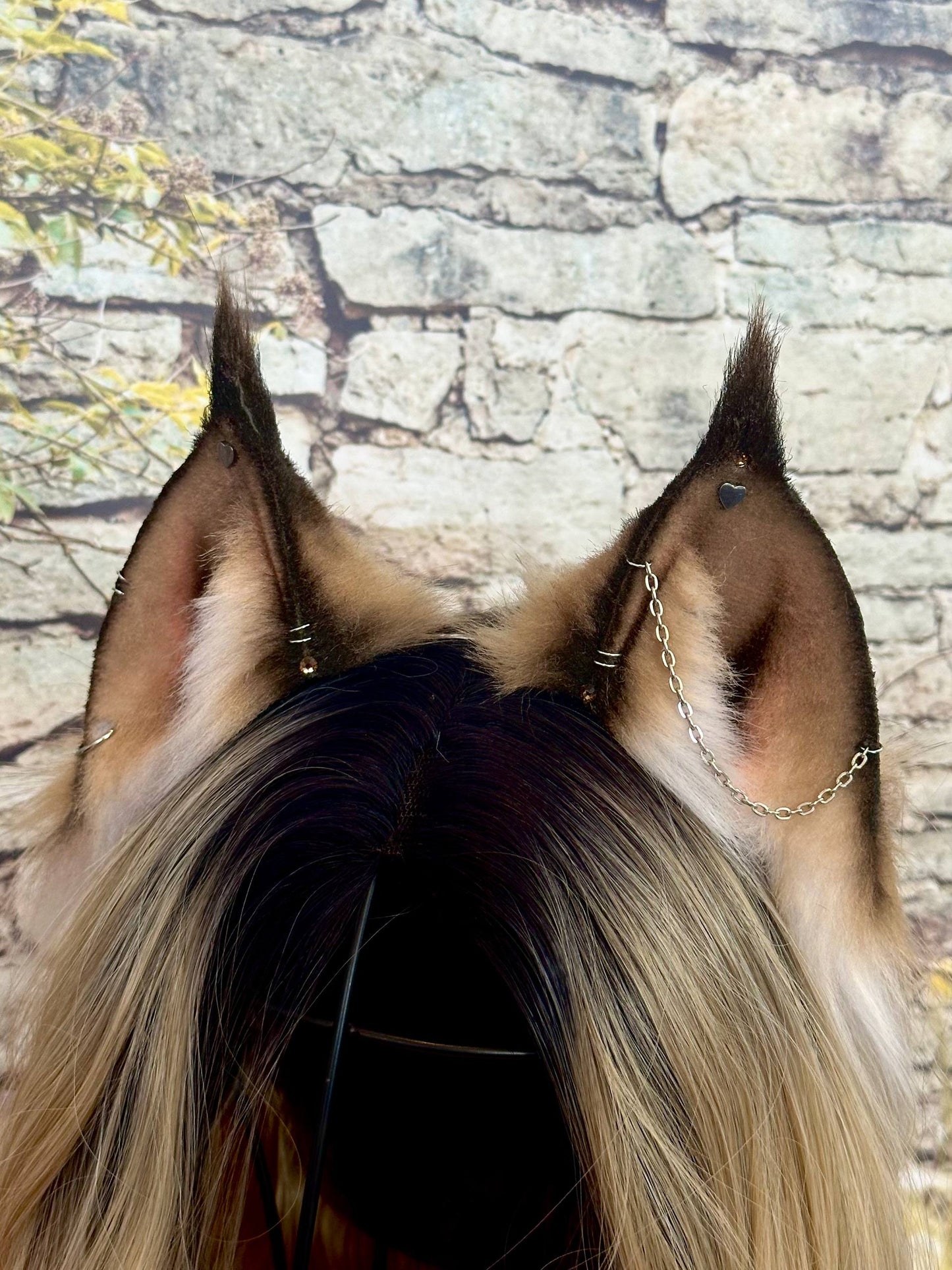 Caramel Lynx Ears