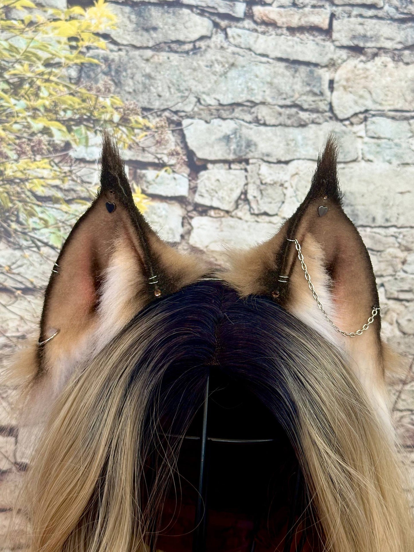 Caramel Lynx Ears