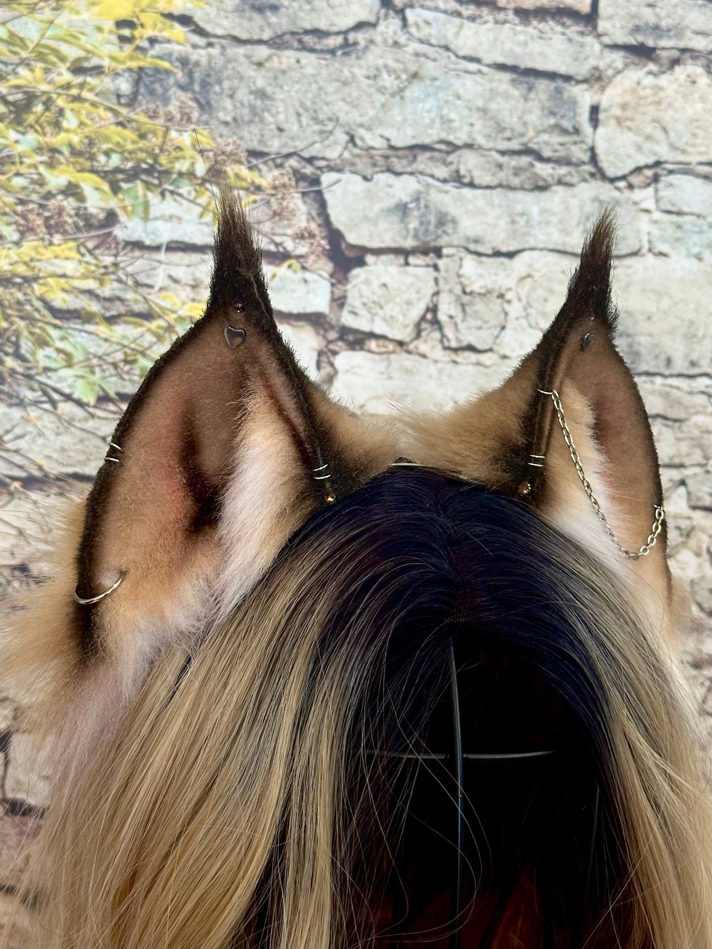 Caramel Lynx Ears