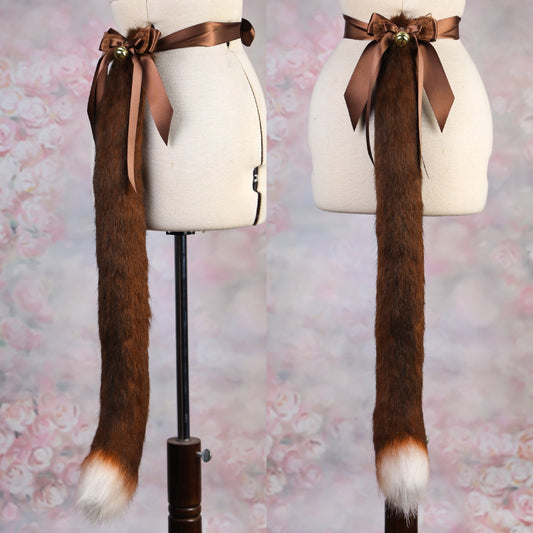 Brown Cat Tail